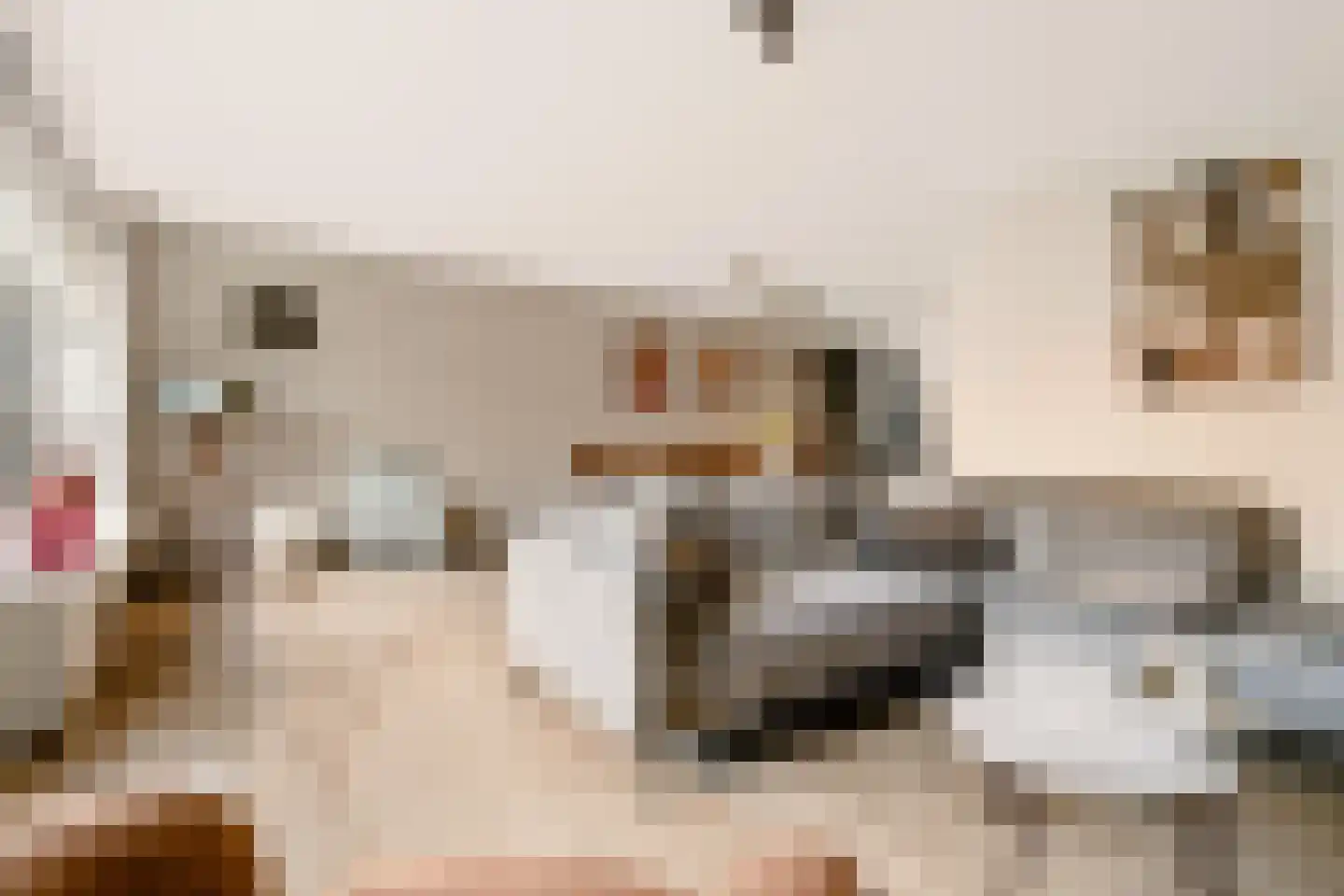 Grasakker 38 Druten thumbnail 13