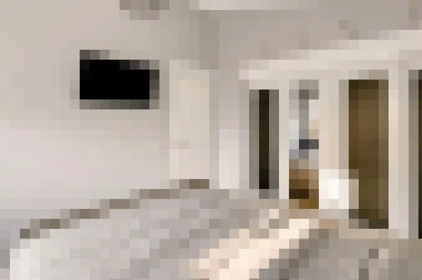 Grasakker 38 Druten thumbnail 19