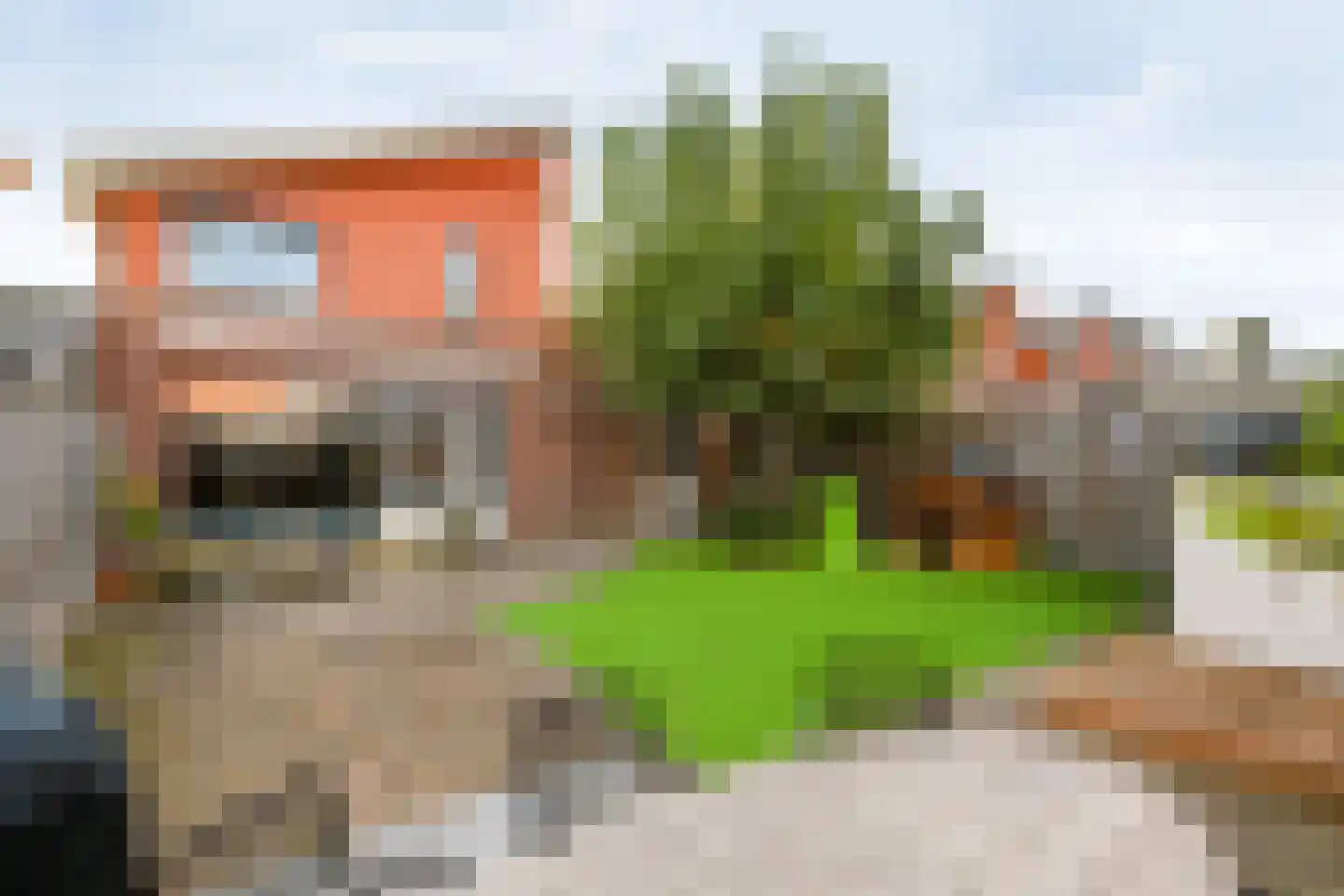 Grasakker 38 Druten foto 3