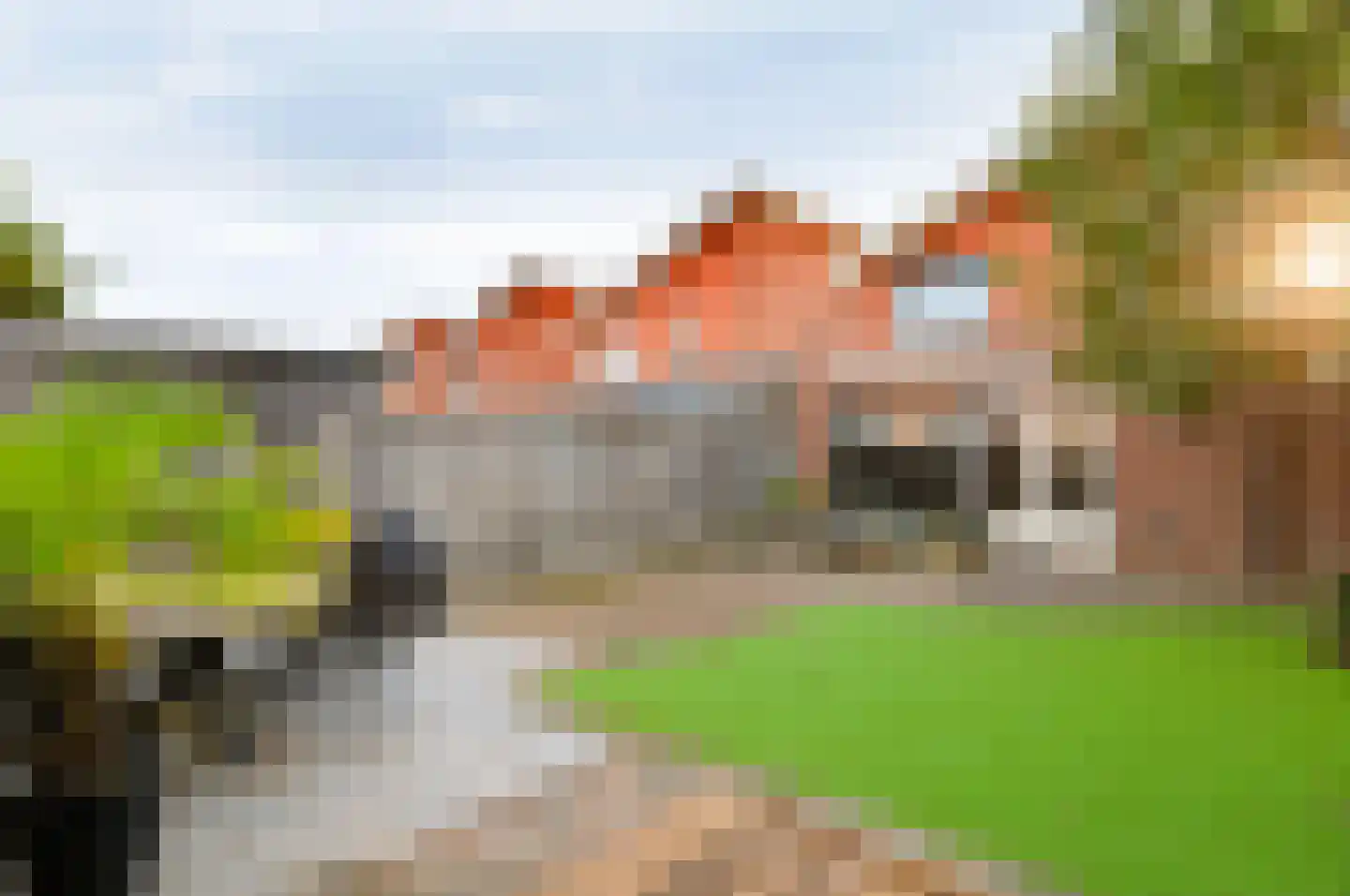 Grasakker 38 Druten thumbnail 31