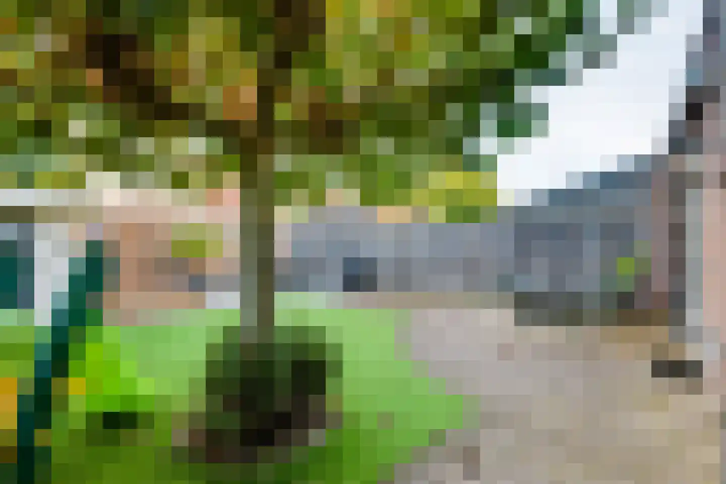 Grasakker 38 Druten thumbnail 34