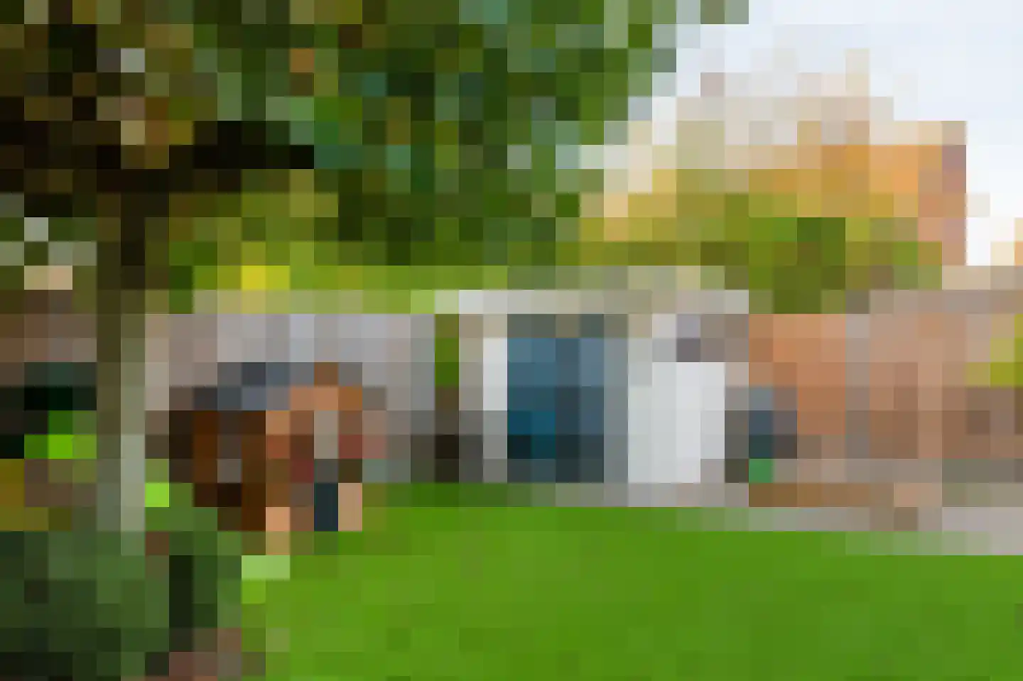 Grasakker 38 Druten thumbnail 36