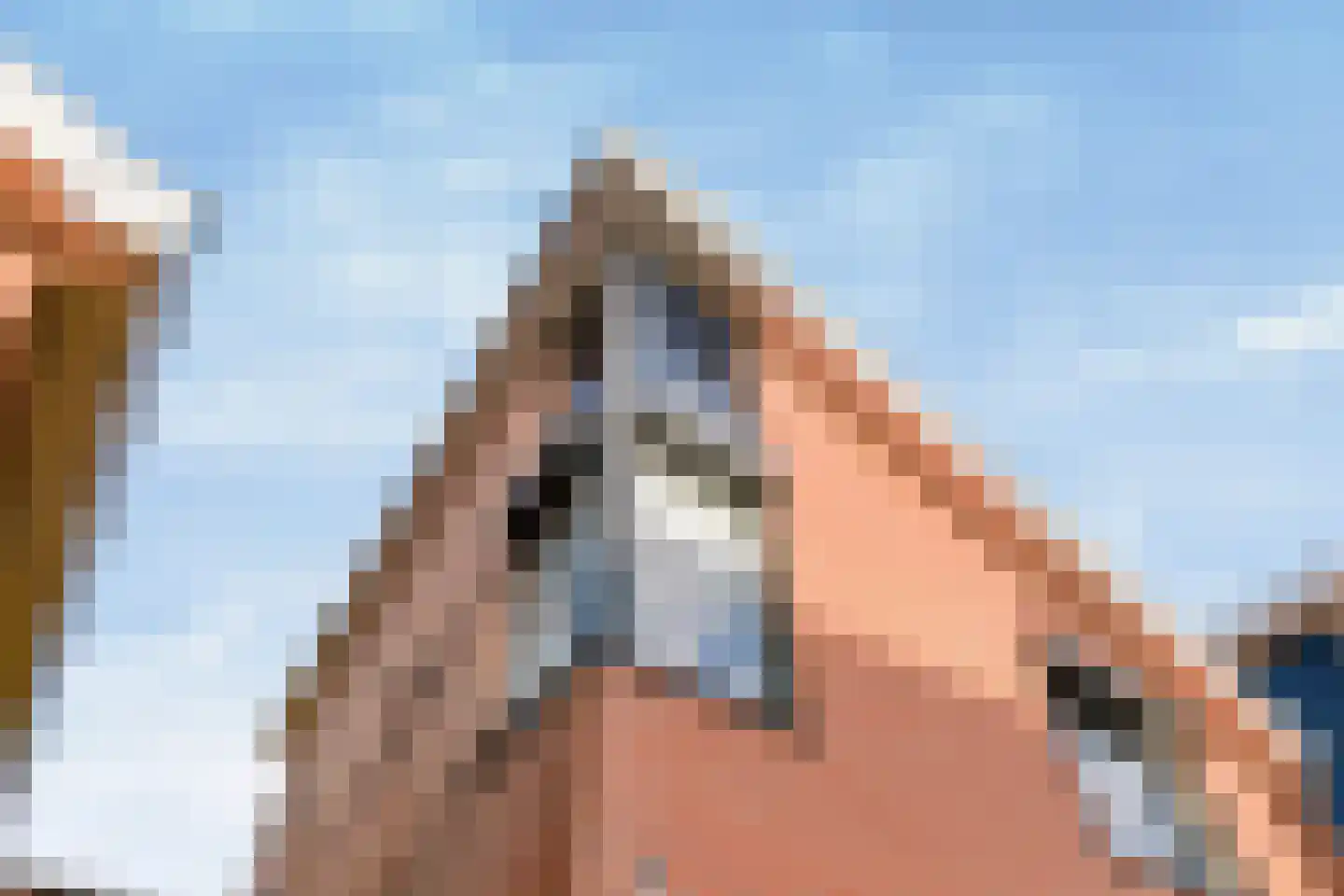 Grasakker 38 Druten thumbnail 37