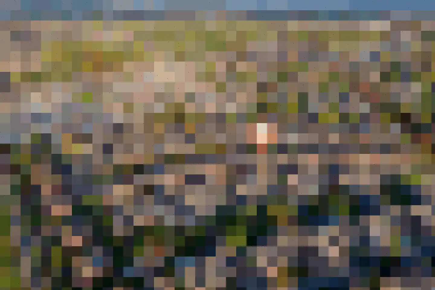 Grasakker 38 Druten thumbnail 41