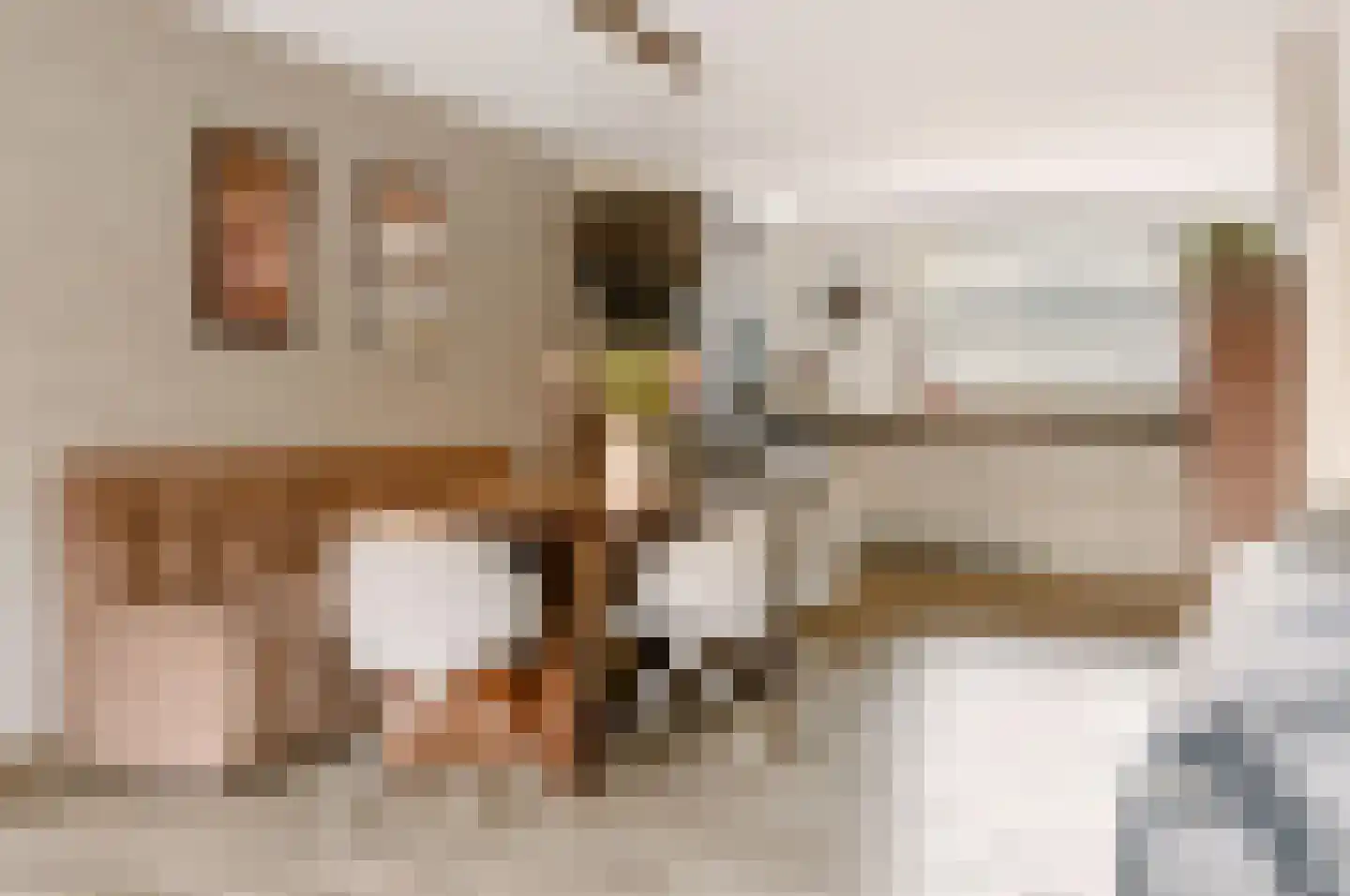 Grasakker 38 Druten thumbnail 5