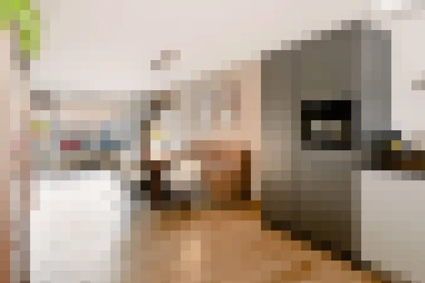 Grasakker 38 Druten thumbnail 6