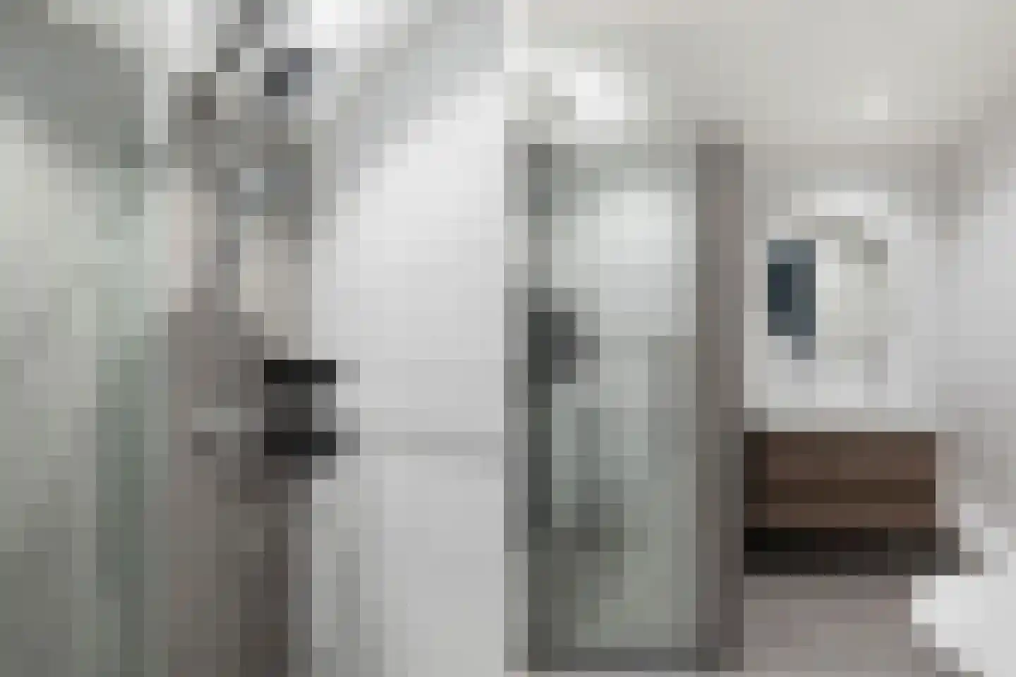 Grasakker 38 Stolwijk thumbnail 25