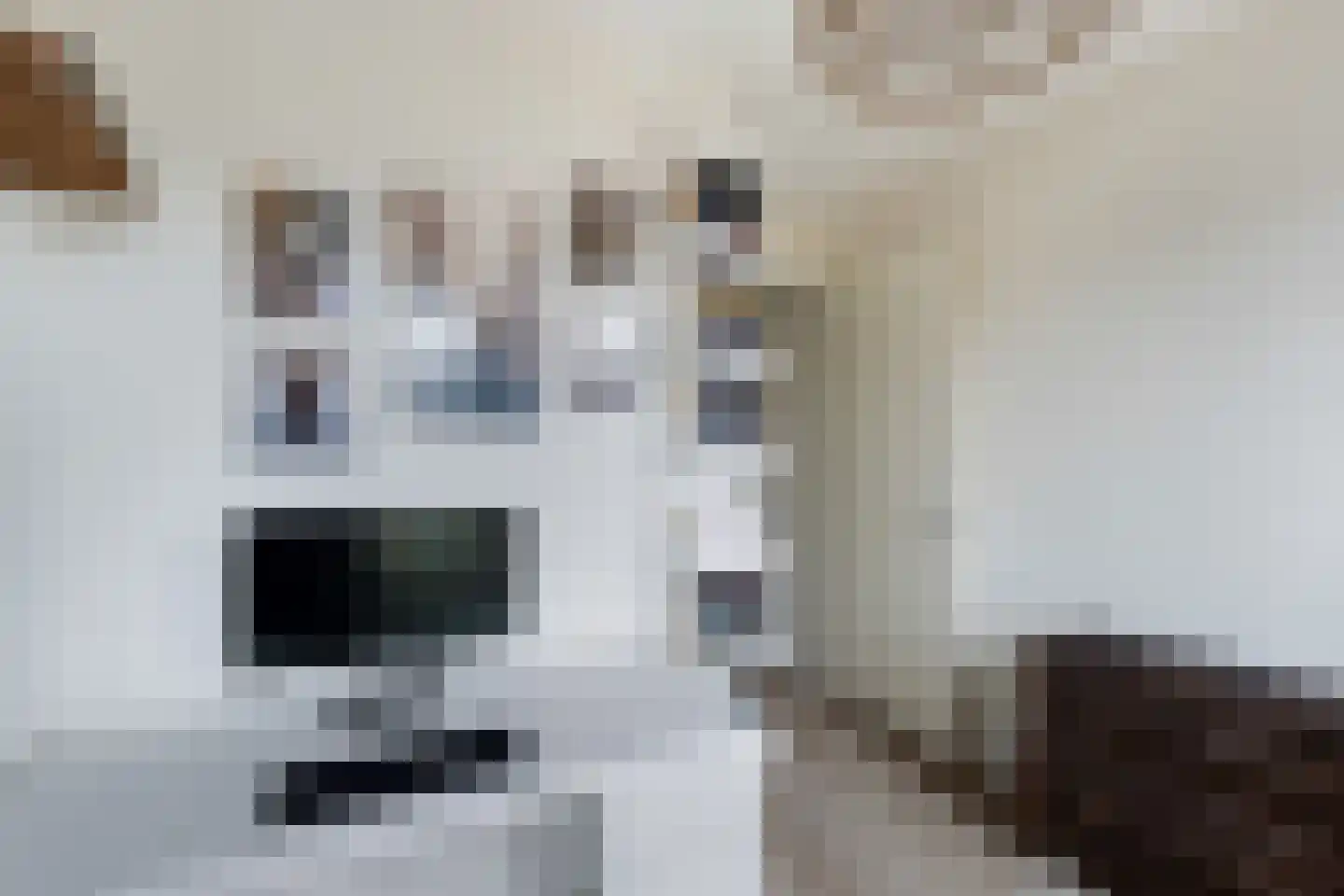 Grasakker 38 Stolwijk thumbnail 27