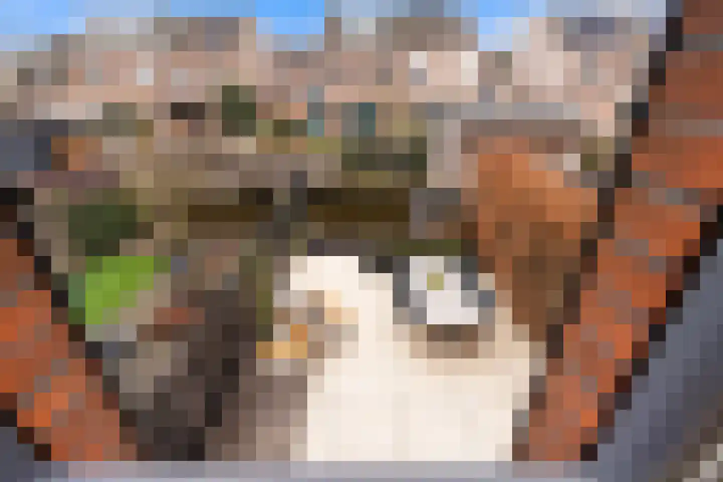 Grasakker 38 Stolwijk thumbnail 28