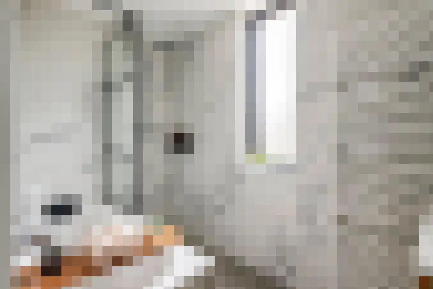 Grasakker 40 Druten thumbnail 26