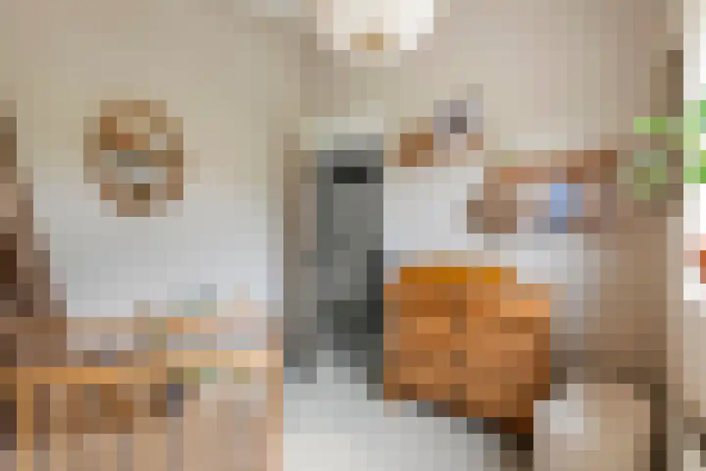 Grasakker 40 Druten thumbnail 30