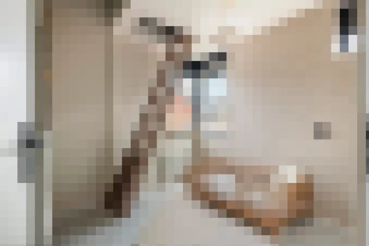 Grasakker 40 Druten thumbnail 31