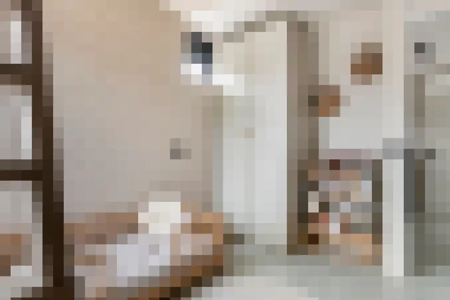 Grasakker 40 Druten thumbnail 32