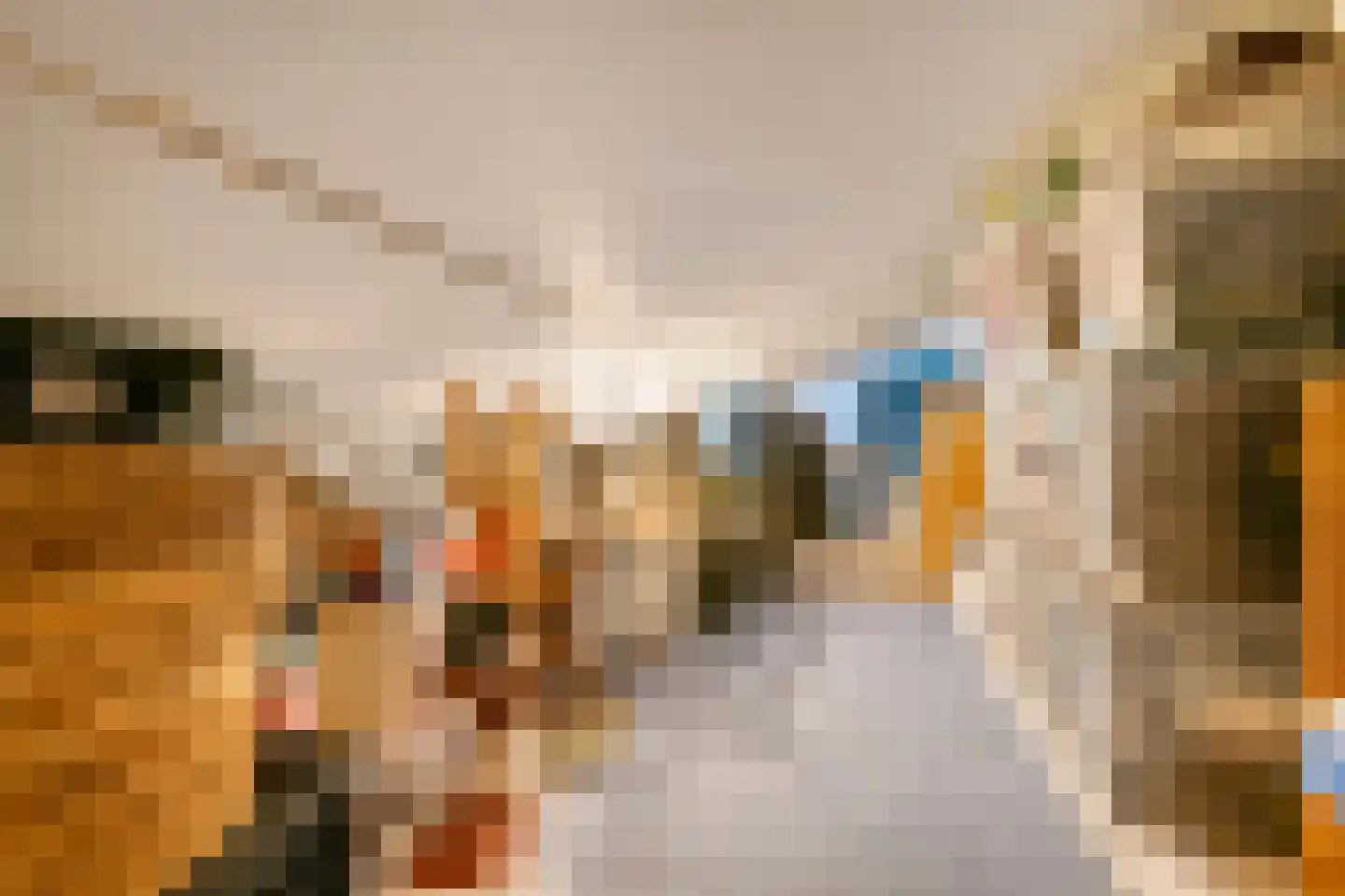 Grasakker 40 Druten thumbnail 35