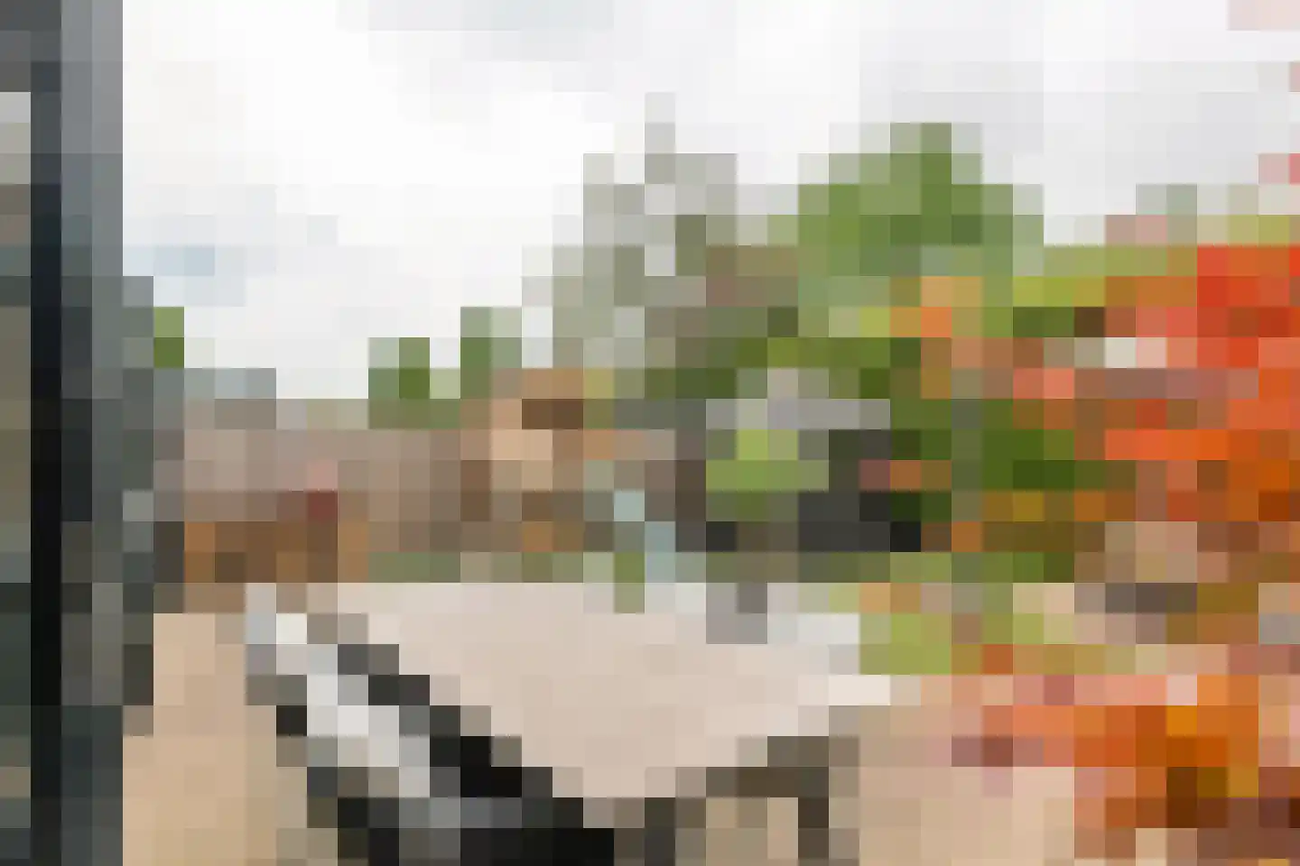 Grasakker 40 Druten thumbnail 38