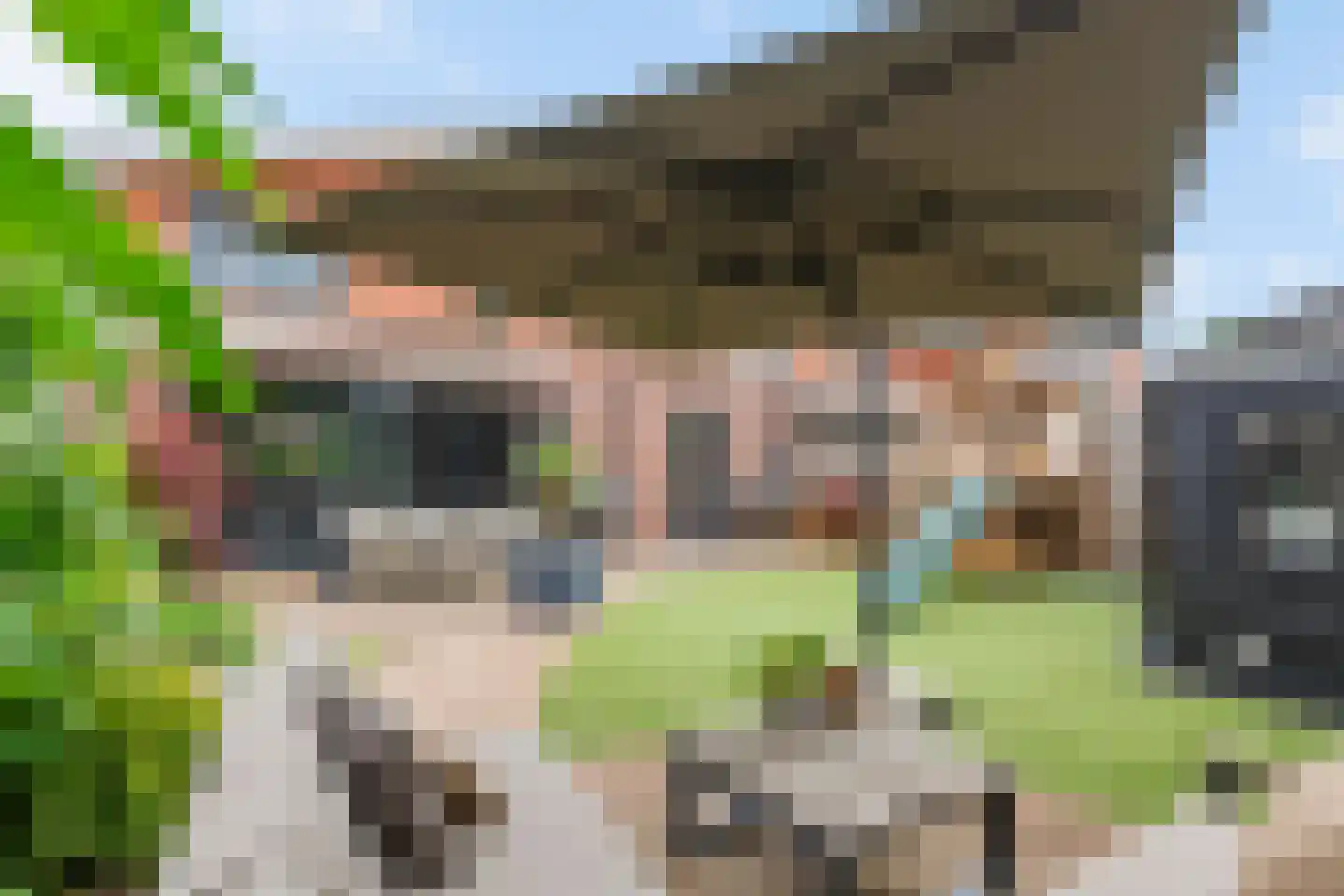 Grasakker 40 Druten thumbnail 4