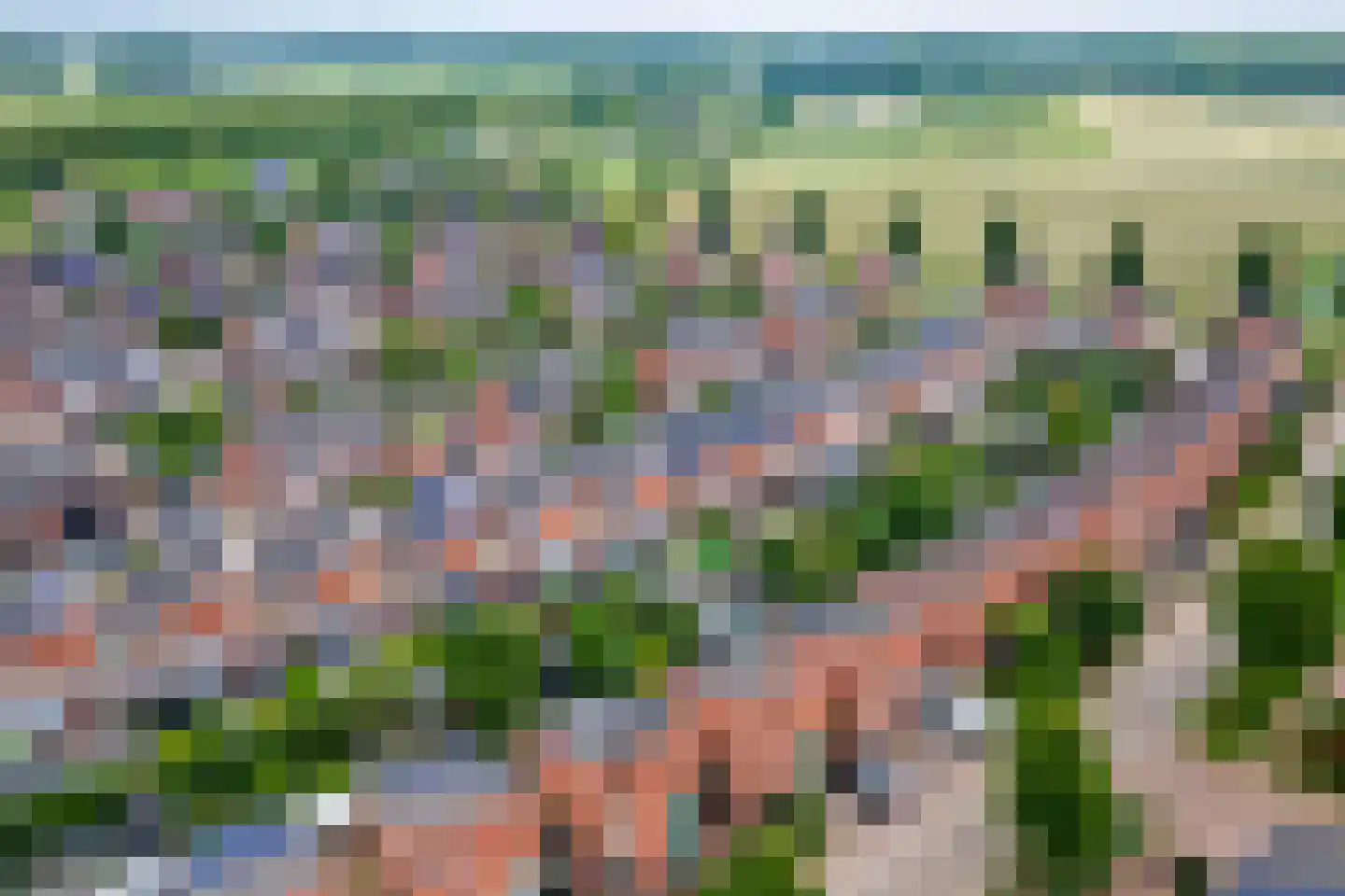 Grasakker 40 Druten thumbnail 43