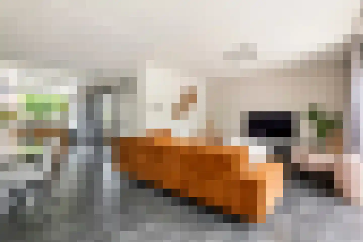 Grasakker 40 Druten thumbnail 5