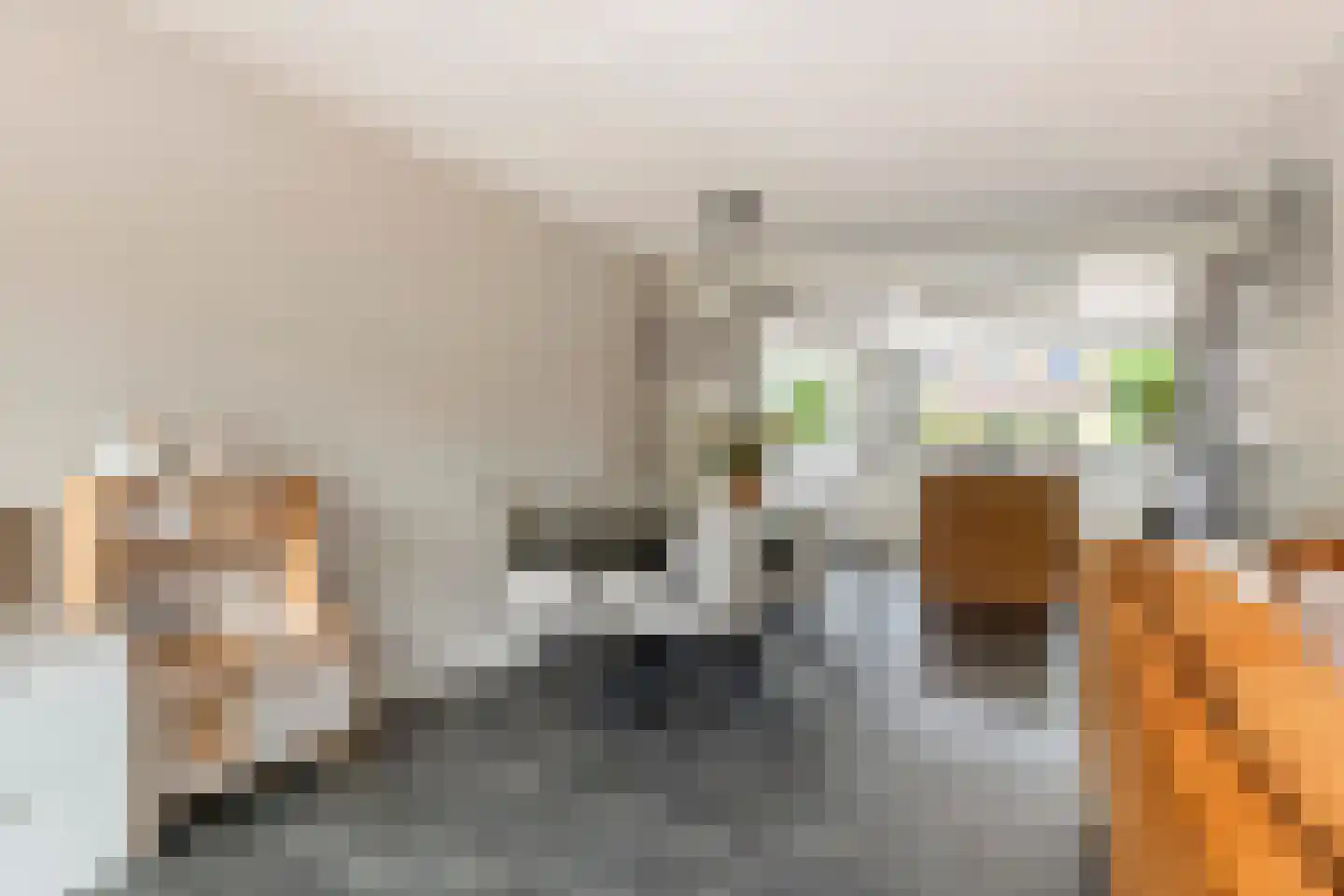 Grasakker 40 Druten thumbnail 7