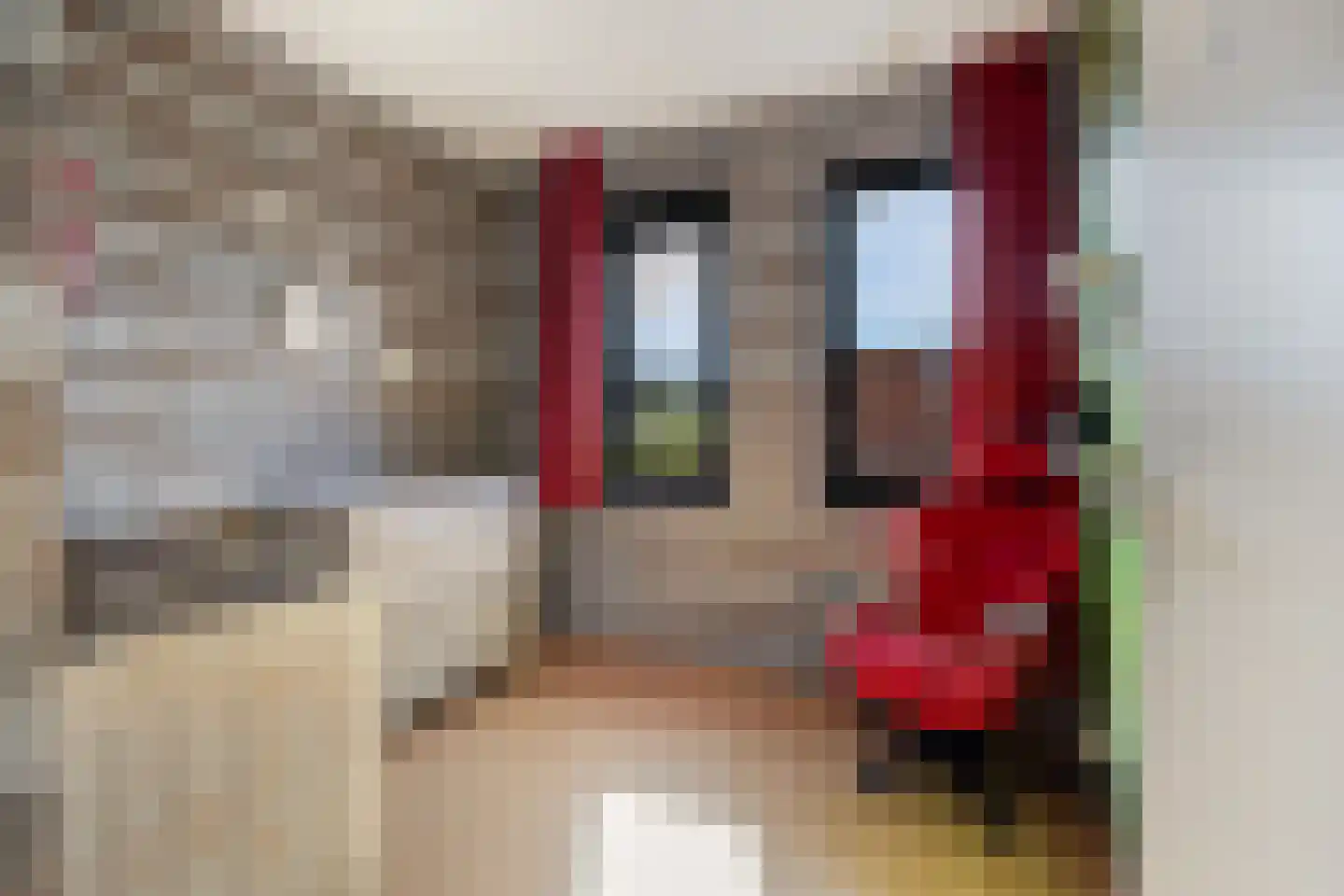 Grasakker 49 Stolwijk thumbnail 20