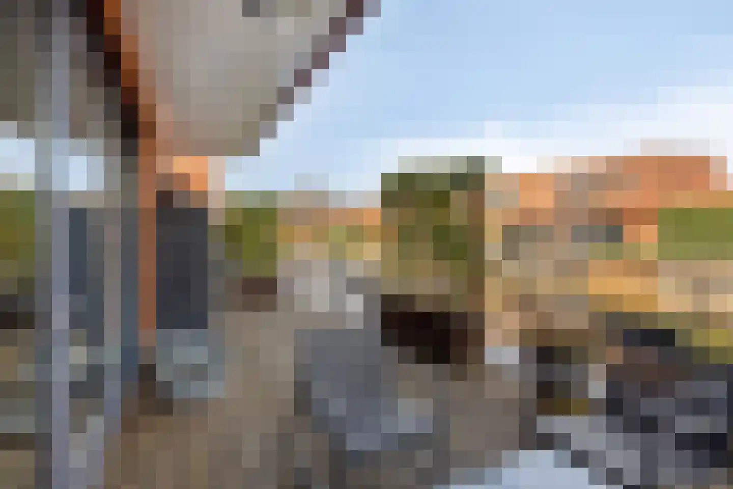 Grasakker 49 Stolwijk thumbnail 23