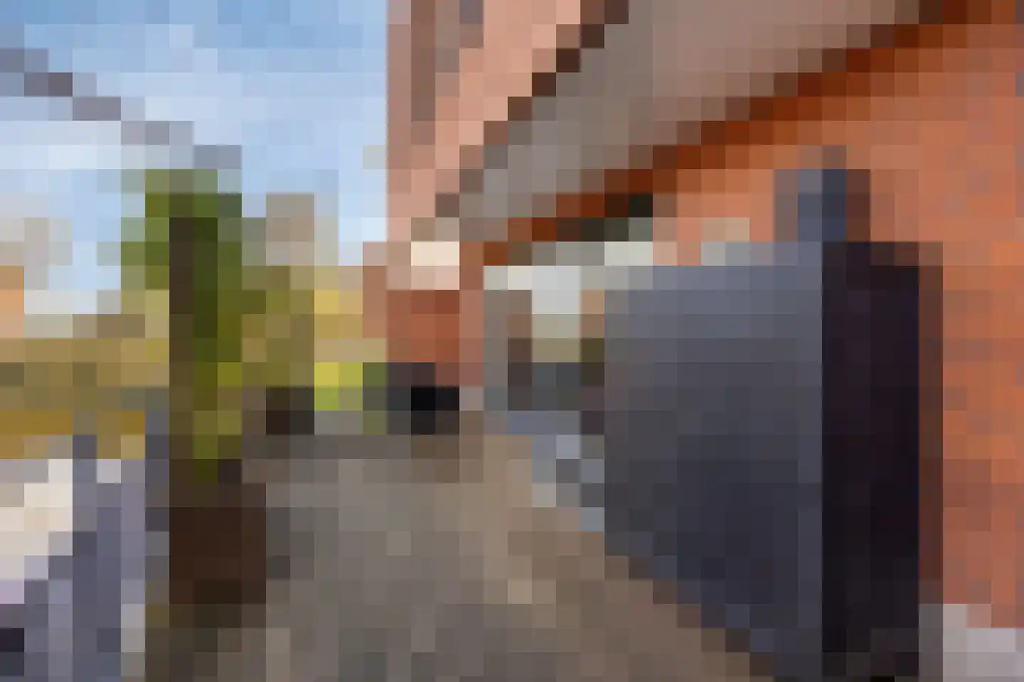 Grasakker 49 Stolwijk thumbnail 24