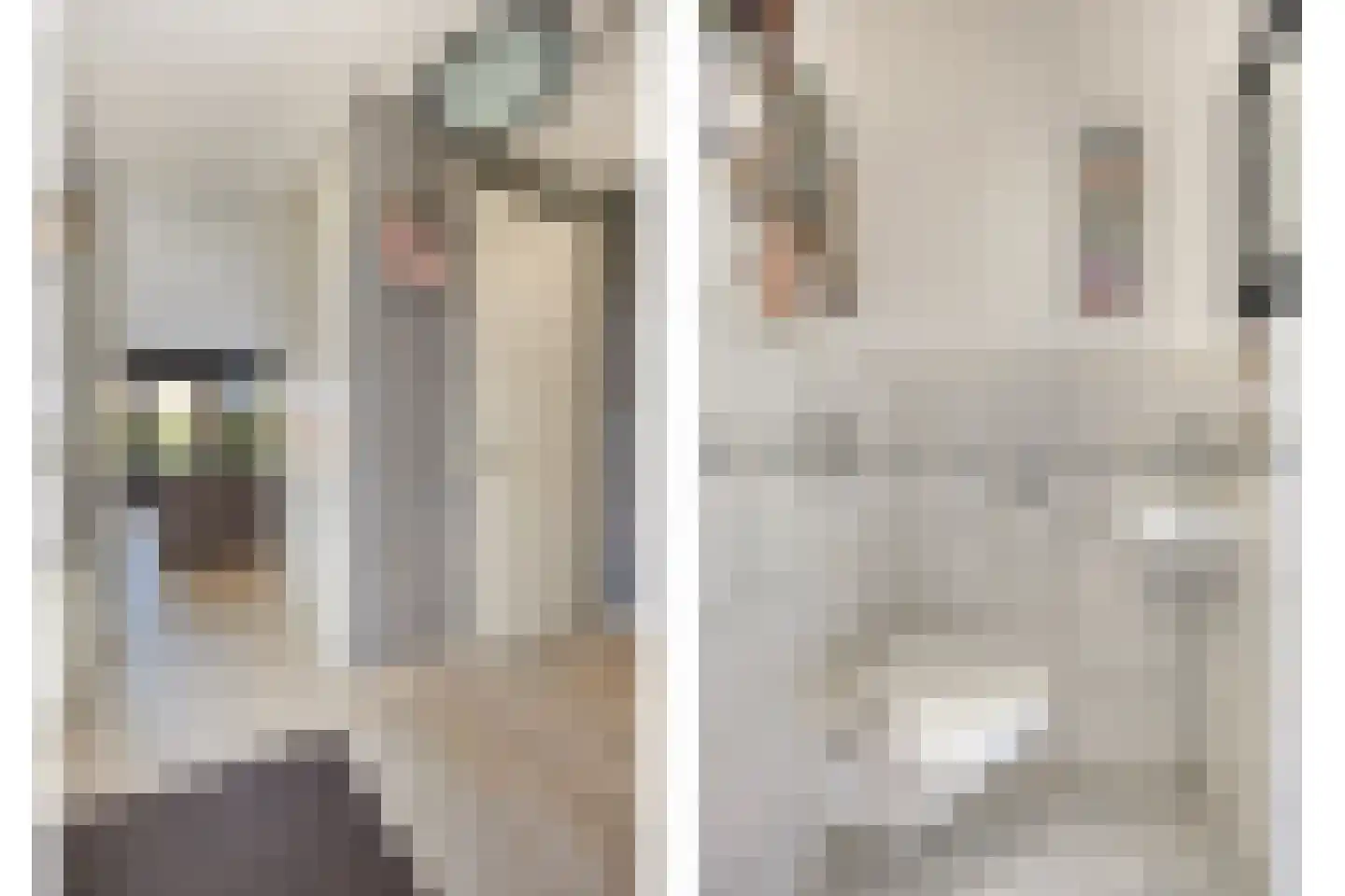 Grasakker 49 Stolwijk thumbnail 5