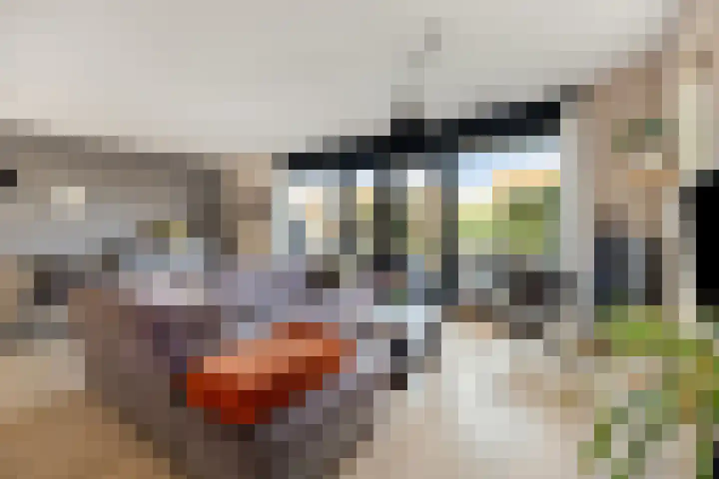 Grasakker 49 Stolwijk thumbnail 6
