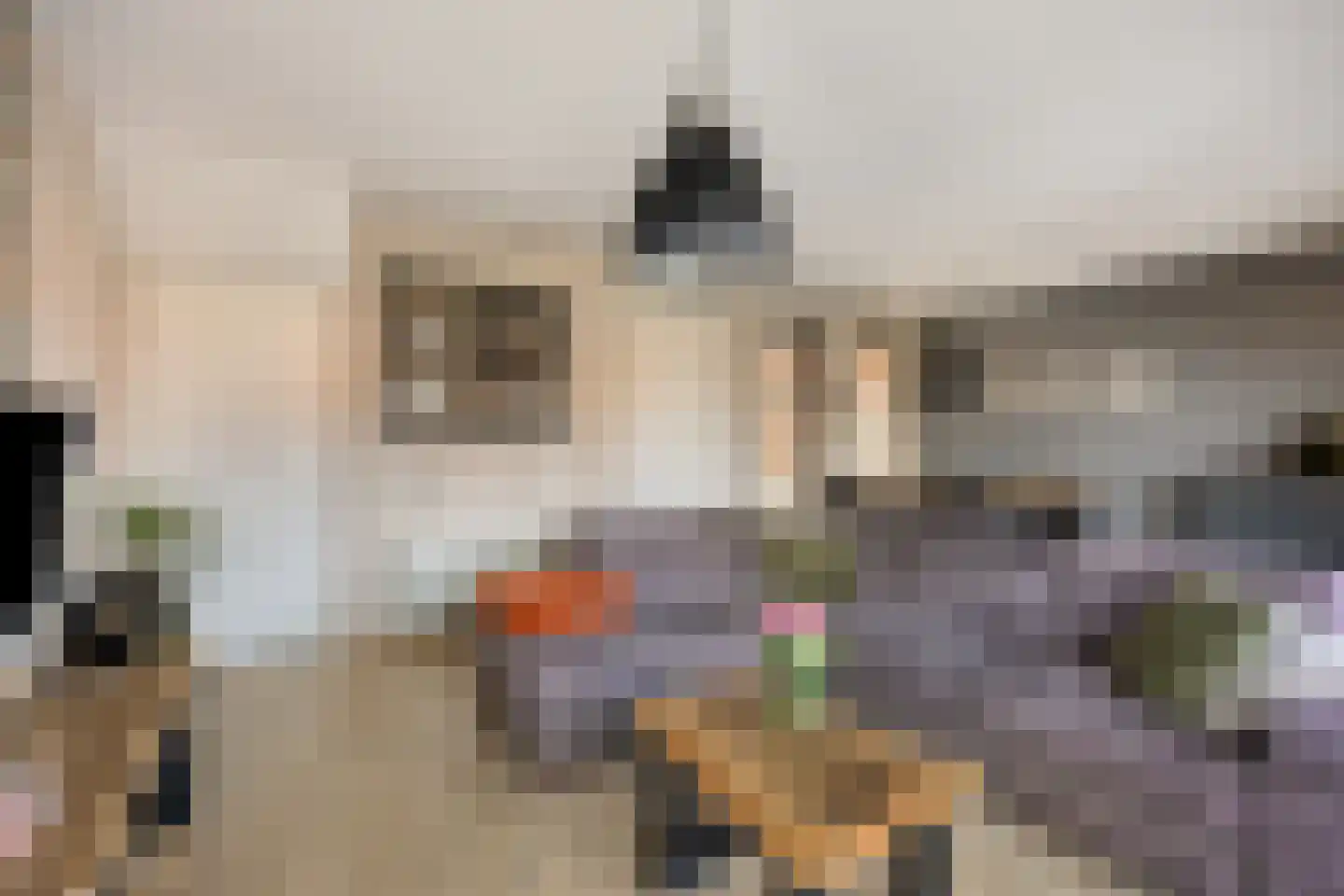 Grasakker 49 Stolwijk thumbnail 7