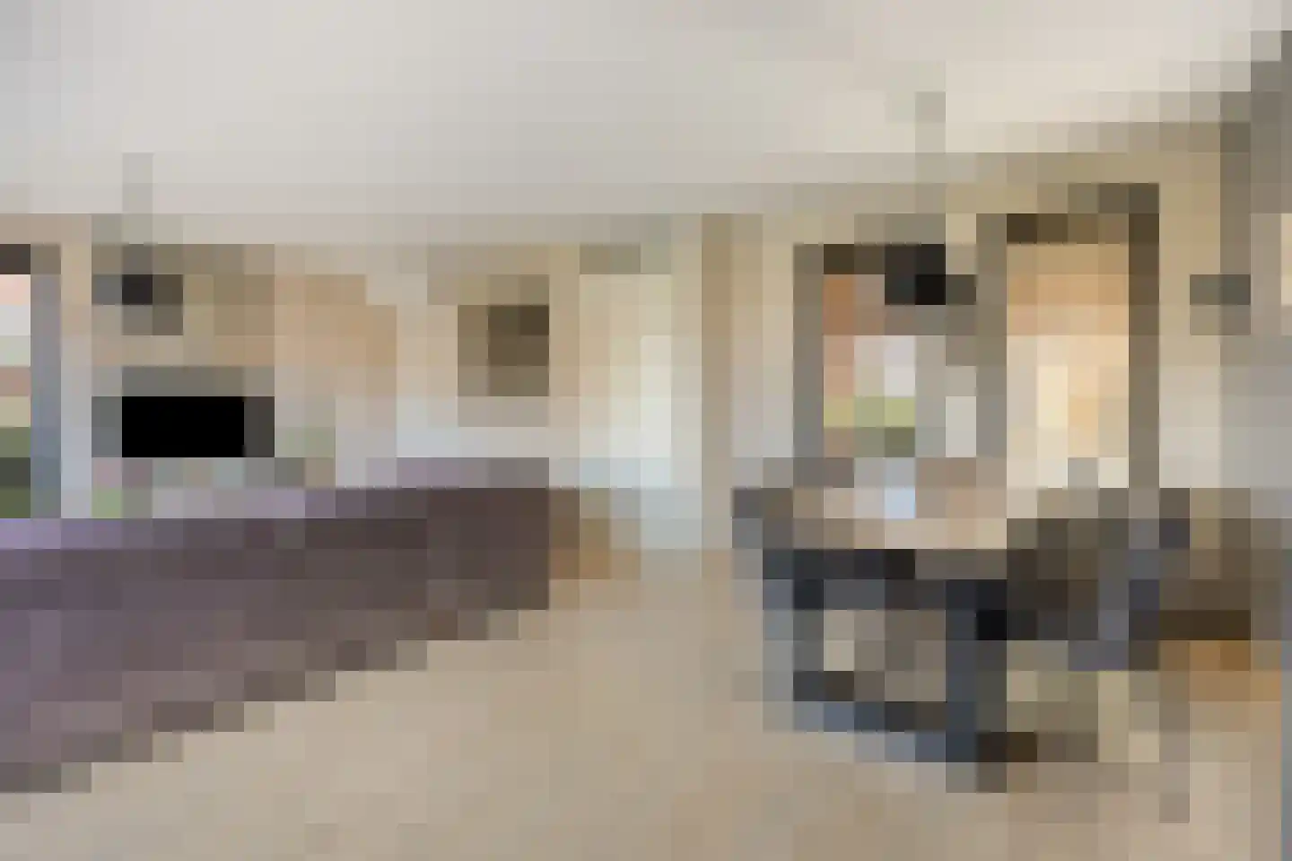 Grasakker 49 Stolwijk thumbnail 8