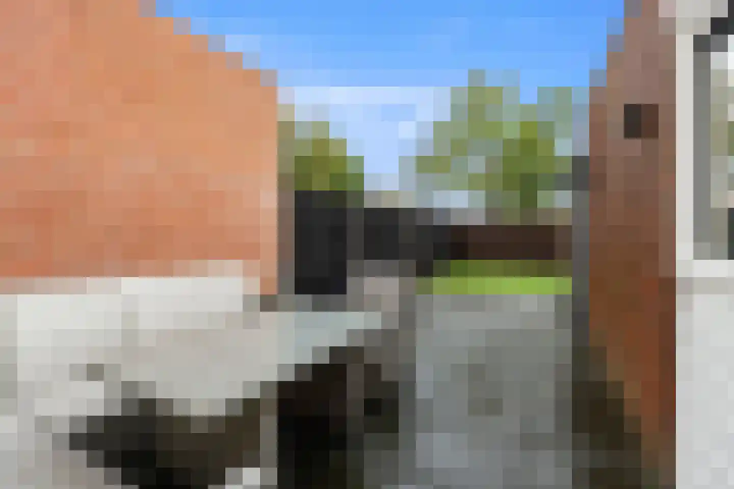 Grasakker 6 Noord-Scharwoude thumbnail 30