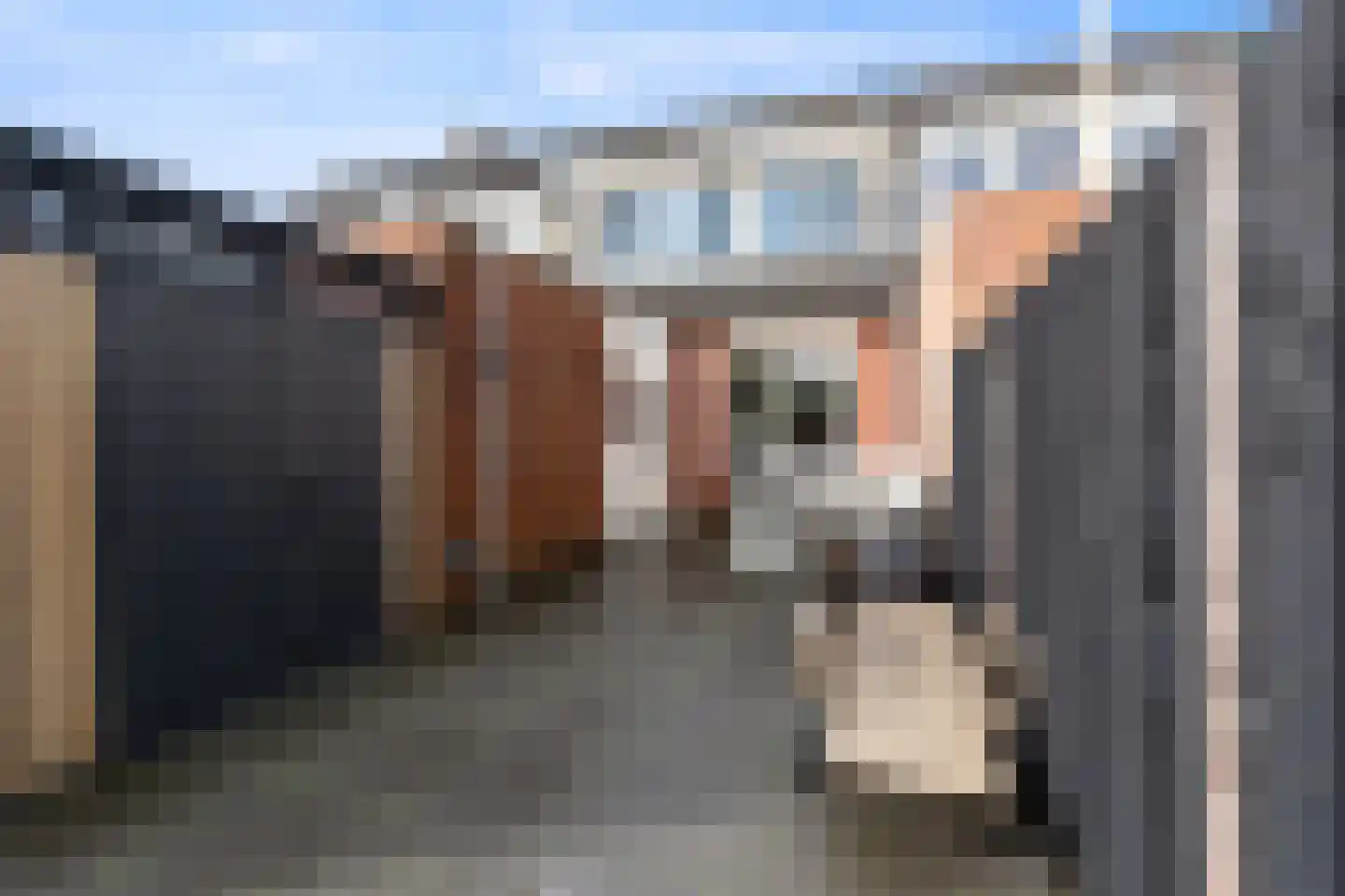 Grasakker 6 Noord-Scharwoude thumbnail 32