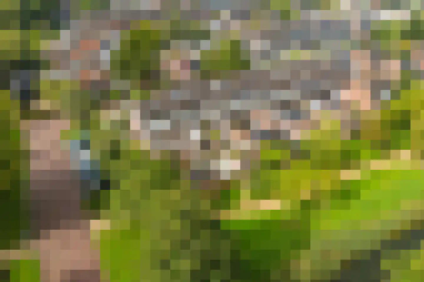 Grasakker 6 Noord-Scharwoude thumbnail 35