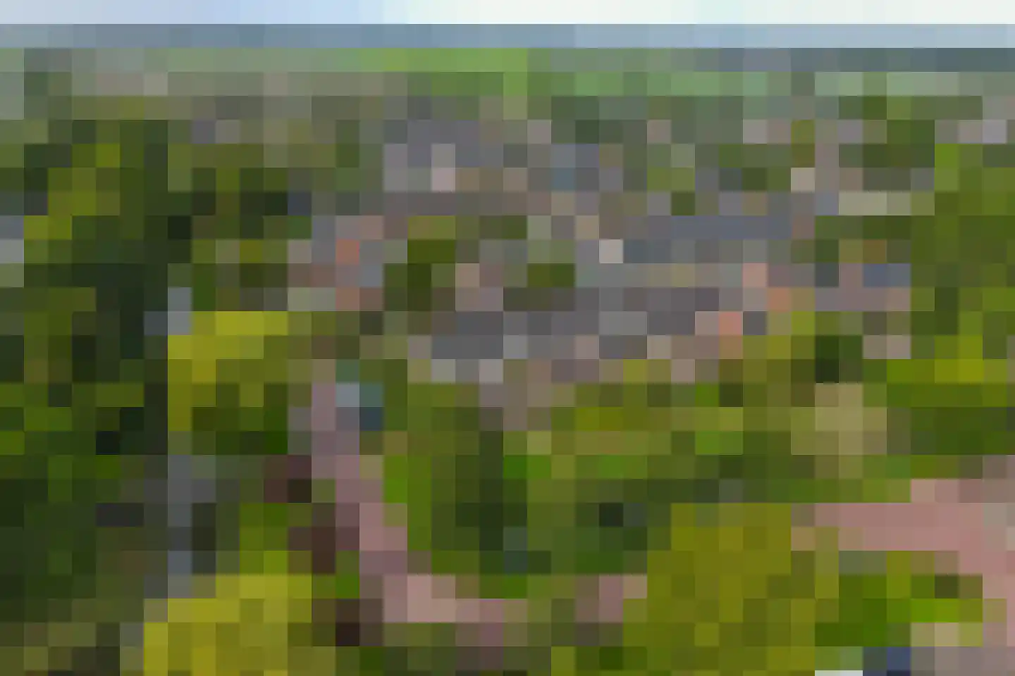 Grasakker 6 Noord-Scharwoude thumbnail 36