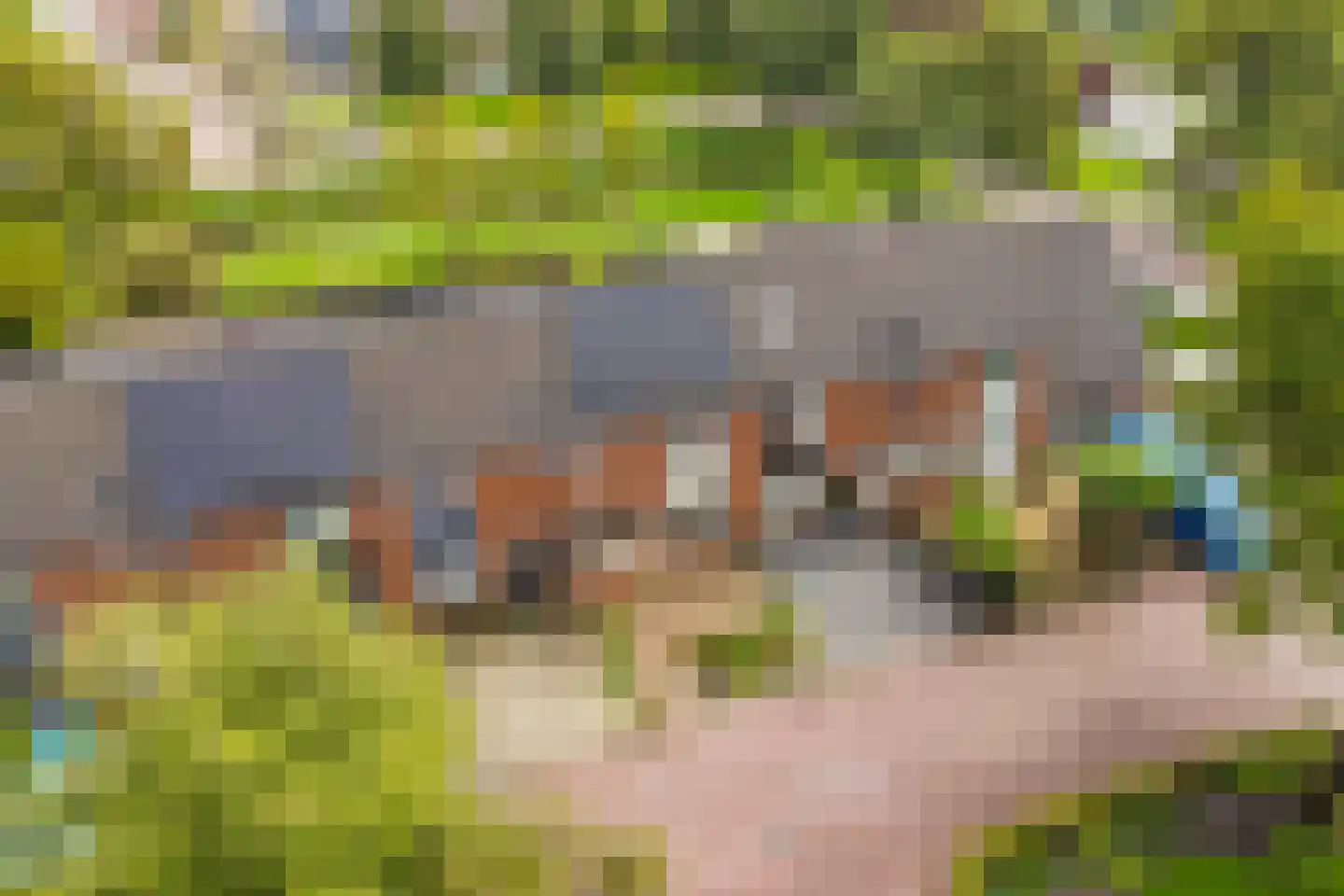 Grasakker 6 Noord-Scharwoude thumbnail 5