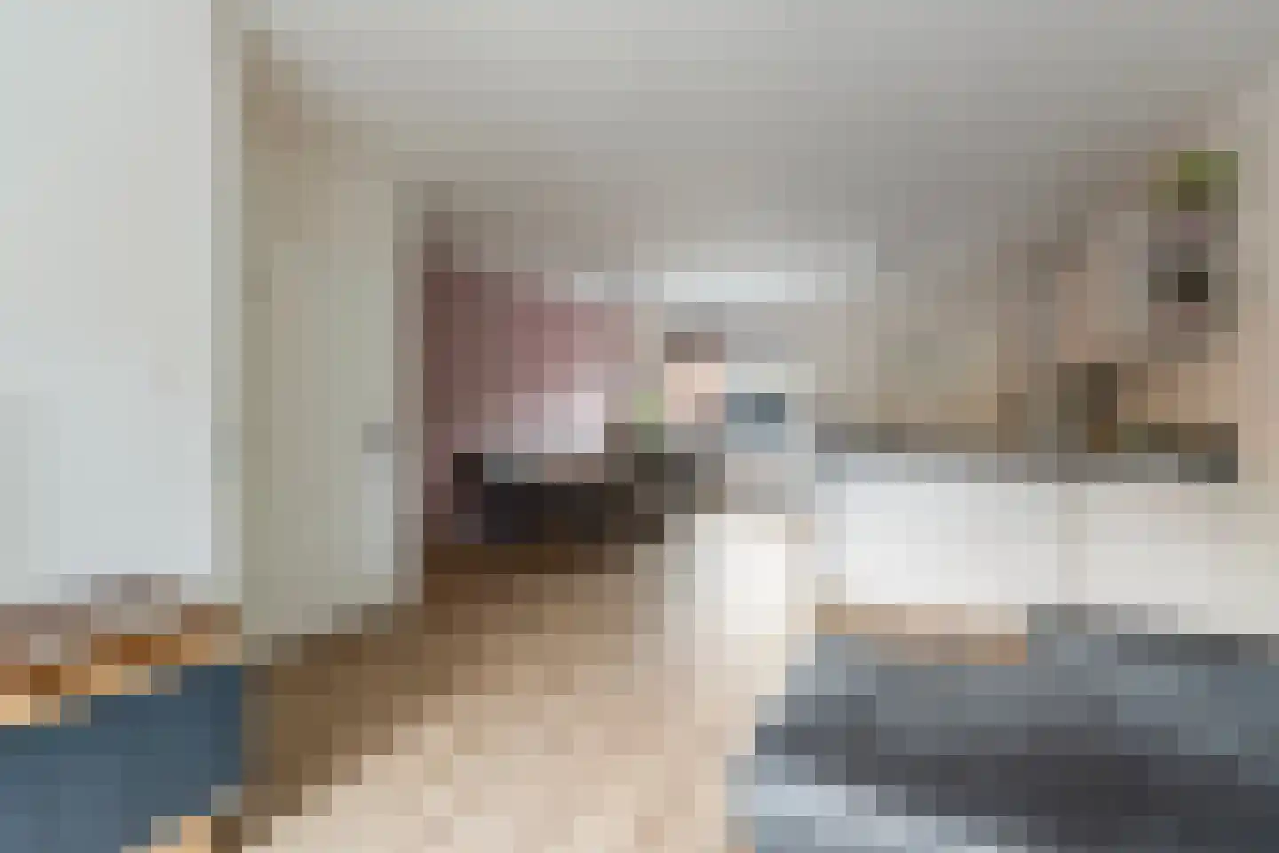Grasakker 6 Noord-Scharwoude thumbnail 8