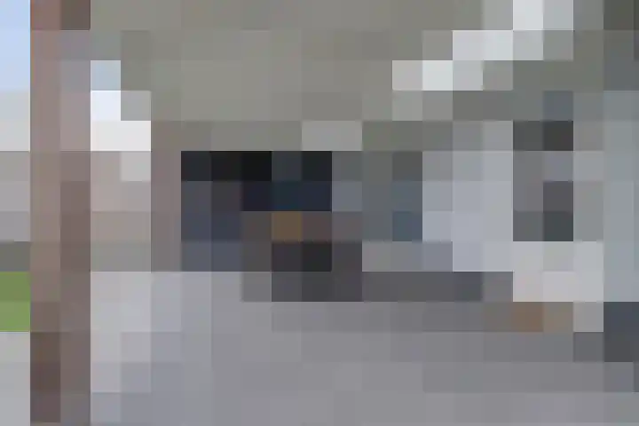 Grasakker 9 Druten thumbnail 43