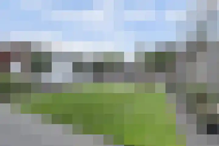 Grasakker 9 Druten thumbnail 46