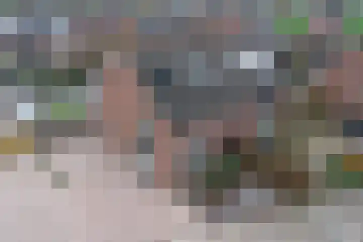 Grasakker 9 Druten thumbnail 55