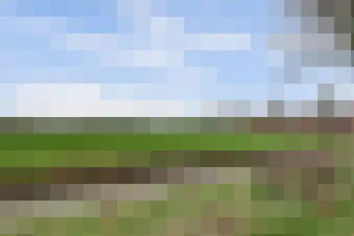 Grasakker 9 Druten thumbnail 62