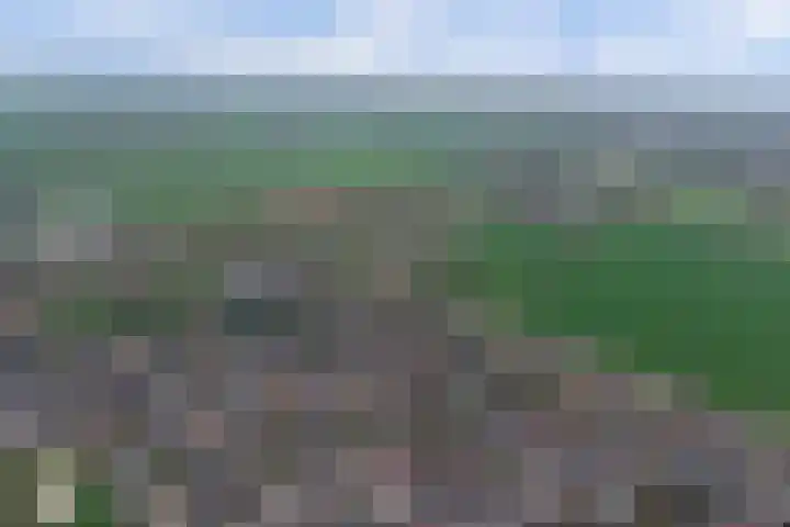 Grasakker 9 Druten thumbnail 63
