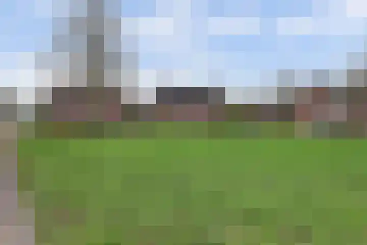 Grasakker 9 Druten thumbnail 66