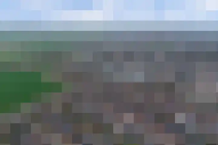 Grasakker 9 Druten thumbnail 67