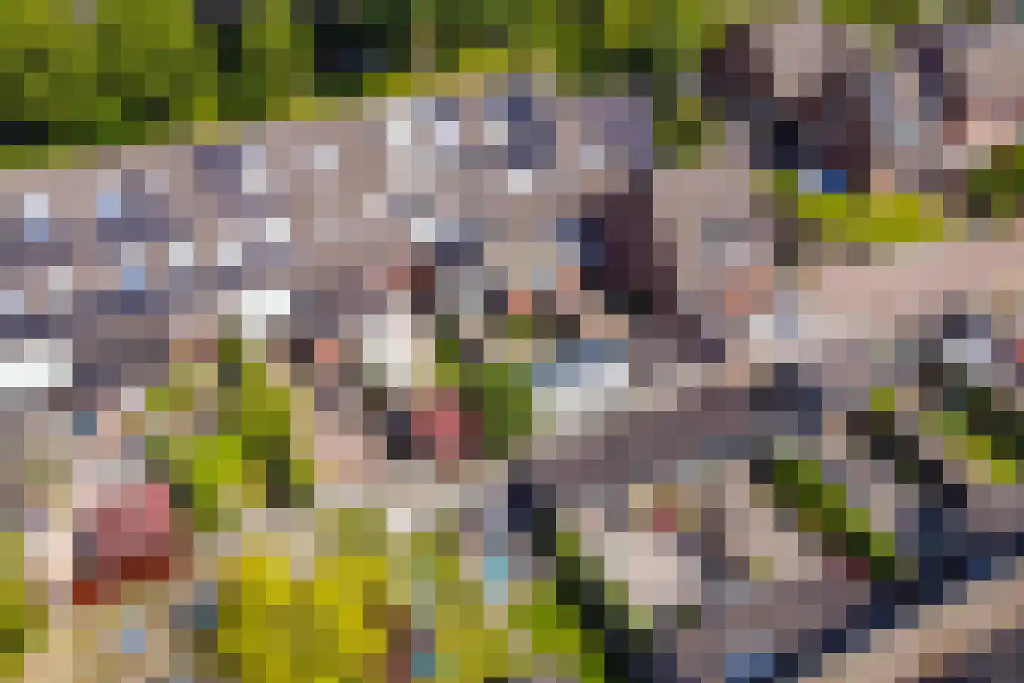 Grasakker 9 Noord-Scharwoude thumbnail 22