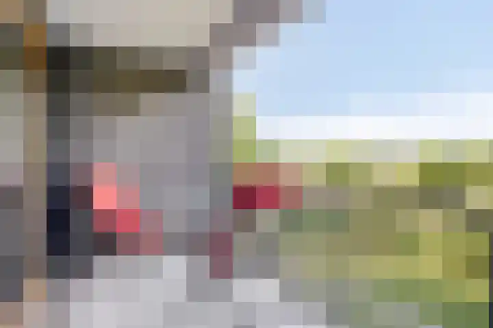 Grasbaan 128 Eindhoven thumbnail 18
