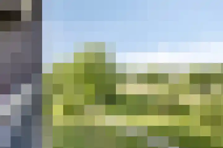 Grasbaan 128 Eindhoven thumbnail 21
