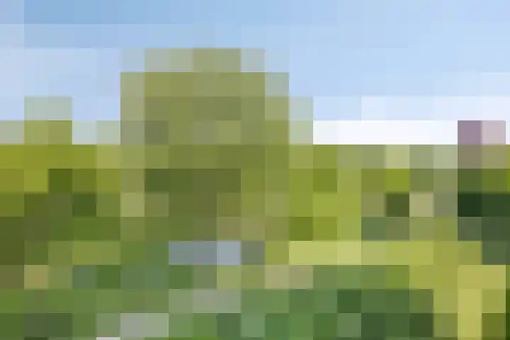 Grasbaan 128 Eindhoven thumbnail 22