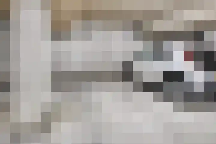Grasbaan 128 Eindhoven thumbnail 28