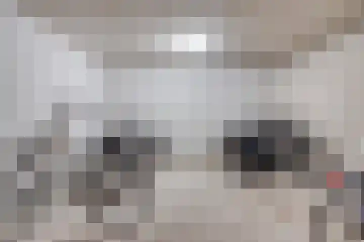 Grasbaan 128 Eindhoven thumbnail 30