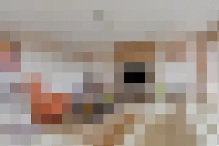 Grasbaan 156 Eindhoven thumbnail 10